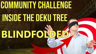 Blindfolded Deku Tree Challenge‍