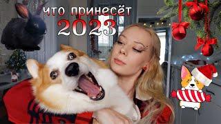 НОВЫЙ ГОД 2023 / год кого? в чём встречать? чего ждать?