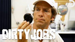 The Dirtiest Bug Jobs | Dirty Jobs | Discovery