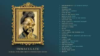 KABAKA PYRAMID x FEDERATION SOUND - IMMACULATE MIXTAPE