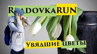 Увядшие цветы ReadovkaRun