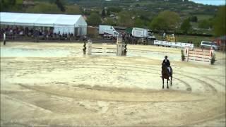 Grand National Cluny 2015 - Aymeric de Ponnat