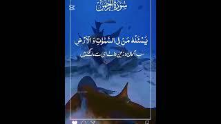 Pashton official search#islamicvideo #telawat_quran786#vir#youtub#shorts