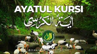 ayatul Kursi Awais Quran Recitation 's broadcast