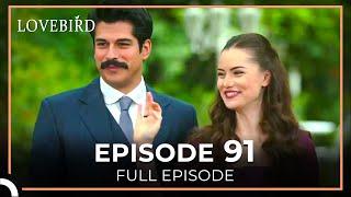 Lovebird Episode 91