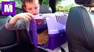 ВЛОГ Кошечка Мурка ведём котёнка к ветеринару в клинику для животных