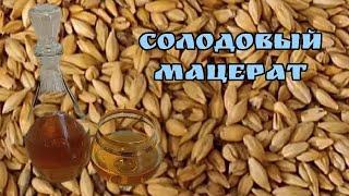 Солодовый мацерат