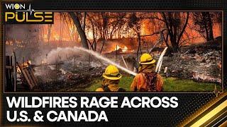 Wildfires sweep across US and Canada | WION Pulse