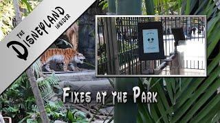 Disneyland Insider - Fixes at the Park