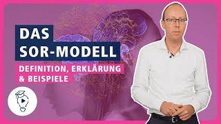 S-O-R Modell erklärt: Von Marketingstimuli zur Kaufentscheidung | Marketing & Kommunikation