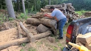 A few basics on when to stabilize a log pile when cutting into it!