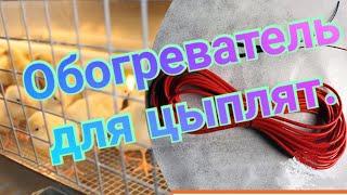 Обогрев для цыплят своими руками Содержание домашних цыплят