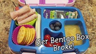 Eighteenth week of school lunches - what she ate
