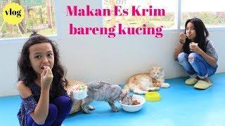 MAIN KUCING LUCU SAMBIL MAKAN ES KRIM  PLAYING WITH CAT