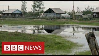 Scientists say vast areas of Siberia are thawing with "devastating consequences" - BBC News