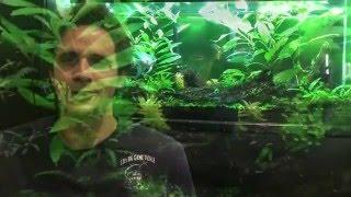 About Will Hardy from HardyAquariums