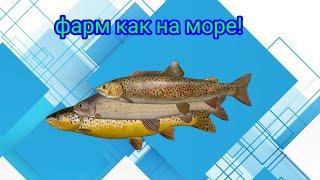 Нижняя тунгуска\Фарм как на море\РР4\Русская рыбалка 4