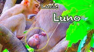 LUNA note take care baby Luno .. Oh God..!!