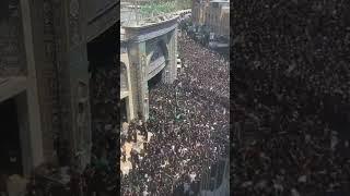 MILLIONS OF PEOPLE GATHERED IN KARBALA ️#karbala #iraq #iran #viralvideo #abbas #karbalastatus