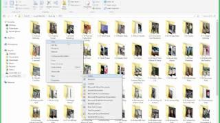 Picture File Organization