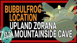 Bubbulfrog Location | Upland Zorana Mountainside Cave | Zelda Tears of the Kingdom | Lanayru Caves