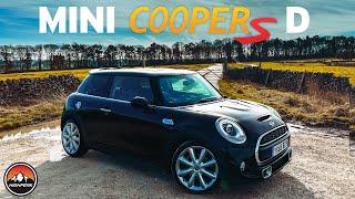 Should You Buy a MINI COOPER S D? (Test Drive & Review F56)