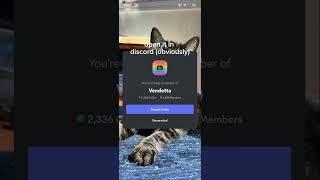 how to install a discord mod and themes (vendetta android)