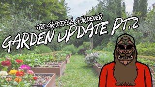 Summer Vegetable Garden Update 2 - May 2024 | The Grateful Gardener