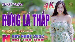 Rừng Lá Thấp, Thành Phố Buồn  Nhạc Trữ Tình Hay Nhất 2022 - Lk Nhạc Vàng Bolero Nhạc Vàng Xưa