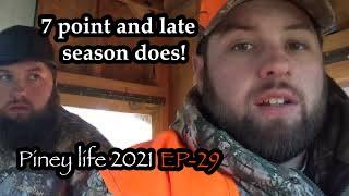 7 point and late season does! Deer hunting! Piney life deer season 2021 EP-29