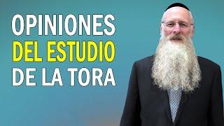 Opiniones del Estudio de la Tora