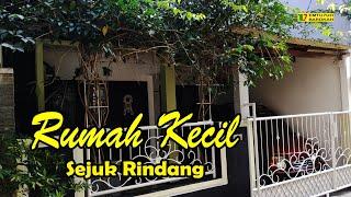 Rumah ini Kecil tapi Sejuk Rindang Adem Sedap Di Pandang