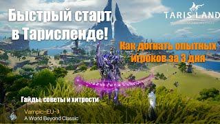 Тарисленд: Легкий старт для новых игроков | Гайд по быстрому прогрессу