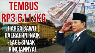 NAIK LAGI, HARGA SAWIT DAERAH INI TEMBUS Rp3.611/Kg, SIMAK RINCIANNYA! #sawit #indonesia