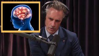 Jordan Peterson: what happens if you stay in your house for too long