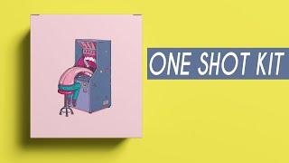 ONE SHOT KIT + VOCAL SAMPLES  / Melodic One shot /free download | EP2