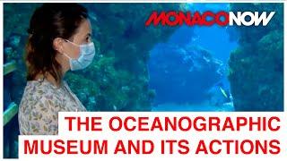 The Oceanographic Museum and its actions