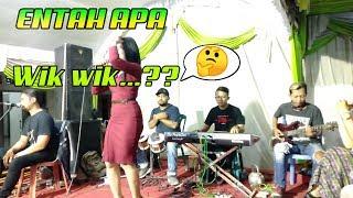 ENTAH APA | wik wik...?? Cover New SORAYA