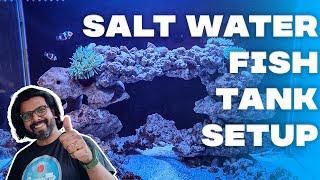 Beginner's Guide to Setting Up Your Saltwater Fish Tank