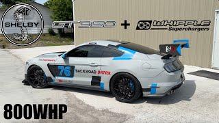 This 800whp GT350 Makes Me Want To Buy A Mustang! (Whipple Supercharged)