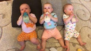 The Busy Busbys | OutDaughtered