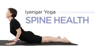 Iyengar Yoga for the Spine-General Level