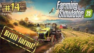 Farming Simulator 25  Brilli farmt! #14  Weltsensation!  [LET'S PLAY] [DEUTSCH] [4k]