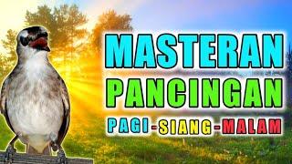 PANCINGAN DAN MASTERAN TRUCUK ROPEL BIAR TRUCUKAN BUNYI GACOR PAGI SIANG DAN MALAM