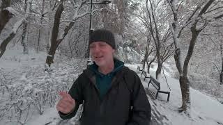 Seoul Vlog: A Rare Heavy Snow Day