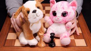 ASMR: A Safe & Cozy Way To Learn About Chess  Mikhail Tal vs. Peter 