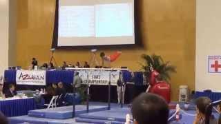 Vahe Level 6 Boys Gymnastics California State Championships 2015