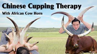 Chinese Cupping Therapy with African Cow Horn