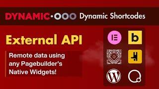 Use API Data in Elementor, Bricks, Breakdance, Gutenberg (Dynamic Shortcodes Tutorial)