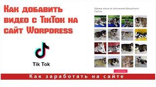 Как добавить видео с TikTok на сайт WordPress